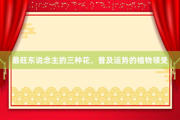 最旺东说念主的三种花，普及运势的植物领受